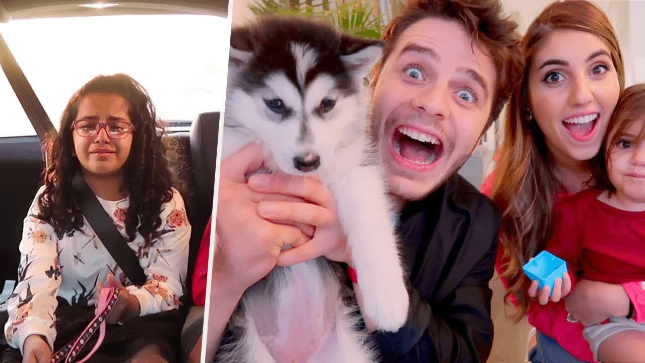 عائلة انس و اصالة خطفوا كلب جوانا (مقلب)