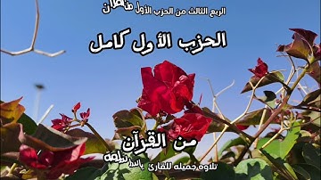 تلاوه جميله للقارئ ياسر سلامه #تلاوات #قرآن #راحة_نفسية#اكسبلور#تلاوة_خاشعة#سورة#السعودية#قران_كريم