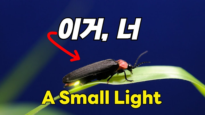 [미국에서도 이게 통할까요??]작은 빛 하나! Global K-pop 2025/'A Small Light'  #나는반딧불 #kpop #music  #음악 #황가람  #firefly