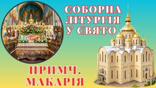 Соборна Літургія У Свято Прпмч. Макарія