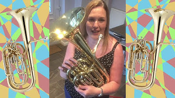 Introduction to the Baritone