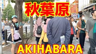 秋葉原をお散歩 / walk in Akihabara Tokyo 【 4K 】