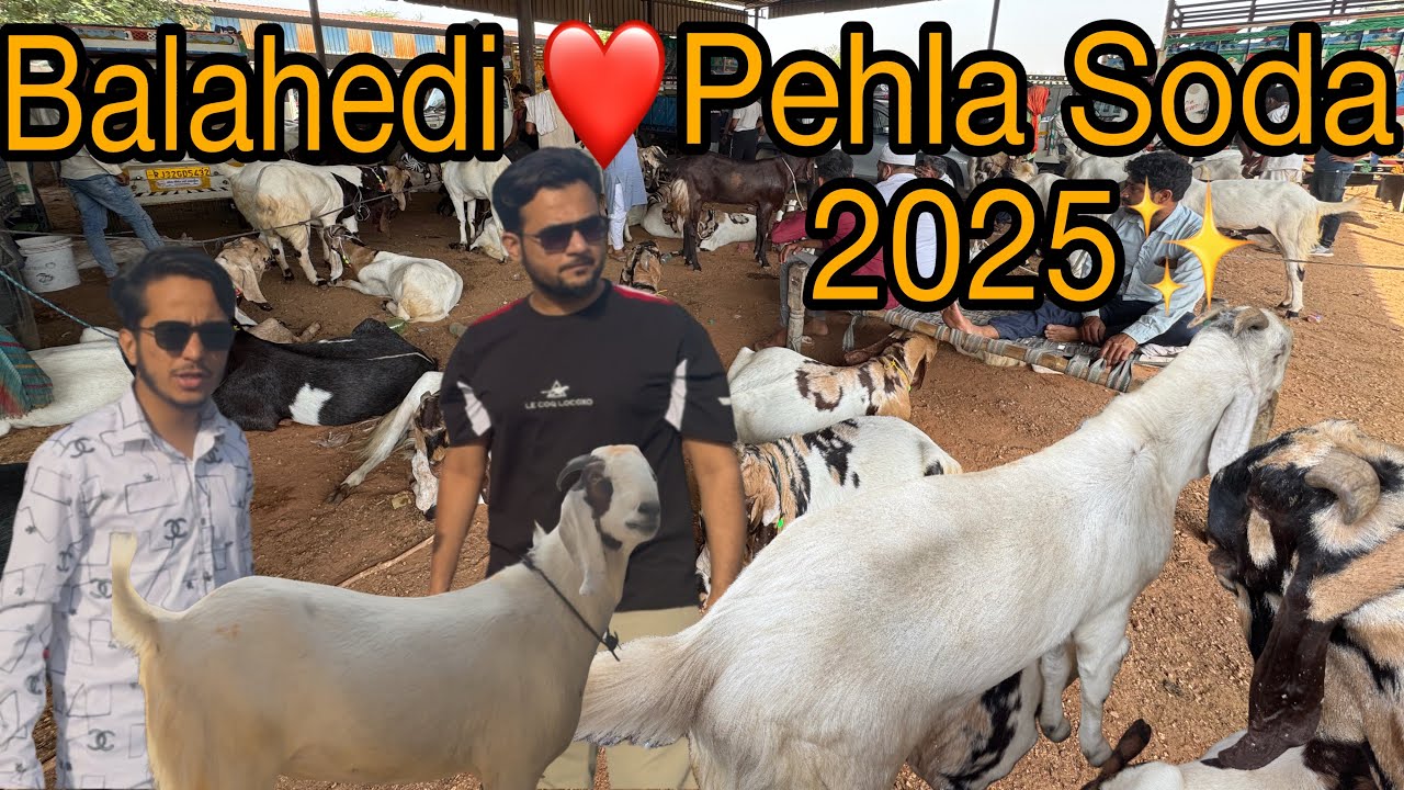 Balahedi mandi me kiya 2025 ka pehla Sauda ❤️✨✨| Part -l ✨❤️