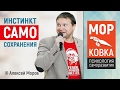 Алексей Моров - Инстинкт Самосохранения