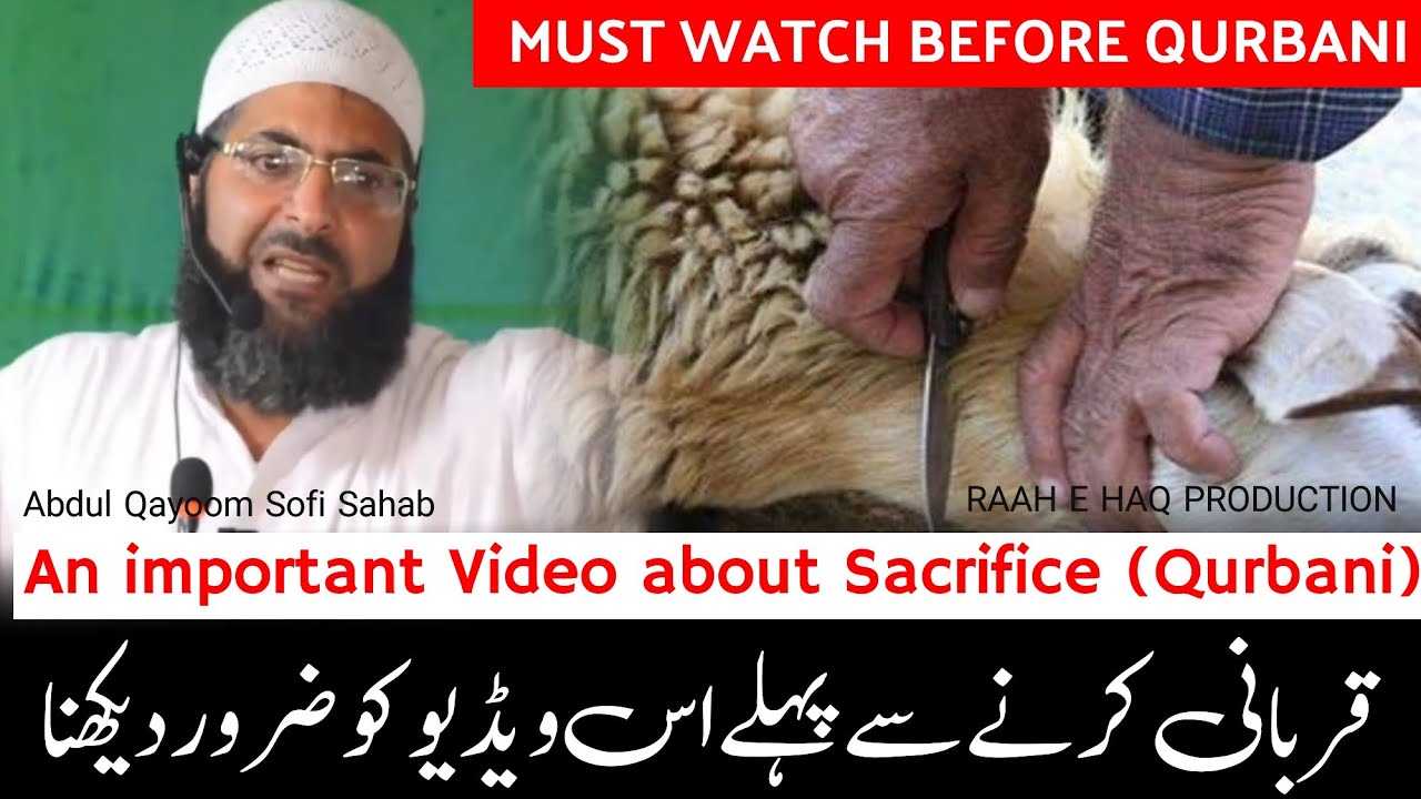 Must Watch Before Qurbani•An Important Video About Sacrifice Qurbani ...