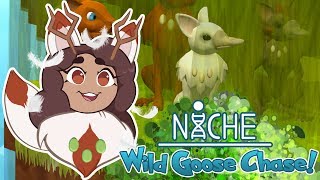 The Great Goose Chase Begins!!  Niche: Wild Goose Chase! • #1