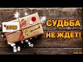 Срочное сообщение от судьбы! Что меня ждет в ближайшее время?🔸 Гадание Таро