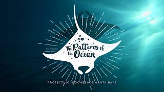 The Patterns of the Ocean - Protecting Indonesia's Manta Rays (Trailer)
