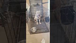 He Doesnt Like Me Rn, Smoke