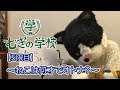 【むぎの学校 5限目】ねこってどんな生き物?〜ねこは何才でオトナ?〜