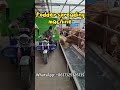 Livestock Fodder Spreading Machine | Fast & Uniform Feed Distribution #spread #farming #fodder