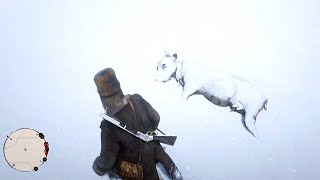 RDR2 - After 6000 hours of playthrough I find this for the first time..