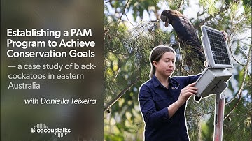 BioacousTalks: Establishing a PAM Program to Achieve Conservation Goals with Daniella Teixeira