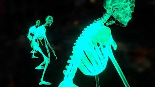 Glowing Cyan Skeleton Dance 💀 10 Hours of Spooky Halloween Party Background | 4K No Sound