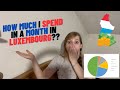 What i spent in a month living in luxembourg city  my montly expenses july 2023 living in lux