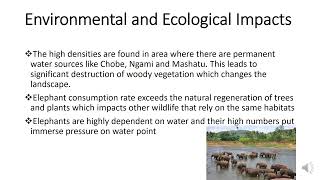 The Impact of Over populated Elephants in Botswana