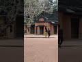 #shorts#santiniketan#visvabharati