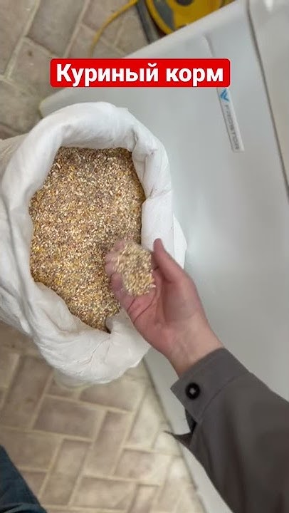 Куриный корм, дробленая кукуруза витамины, минералы, фермерский корм ...
