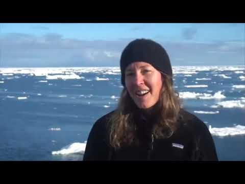 AGU Cinema 2020: The Dynamic Arctic