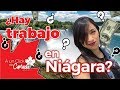 Hay TRABAJO en Niágara, Ontario? (Migrar a ciudades medianas de Canadá) 🇨🇦