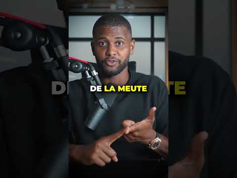 L'importance du langage