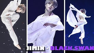 BTS Jimin - Beautiful Black Swan Dance
