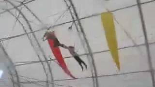Set split flying trapeze