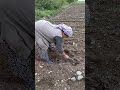 Bahcede annemle fidan dikimi yapıyorum