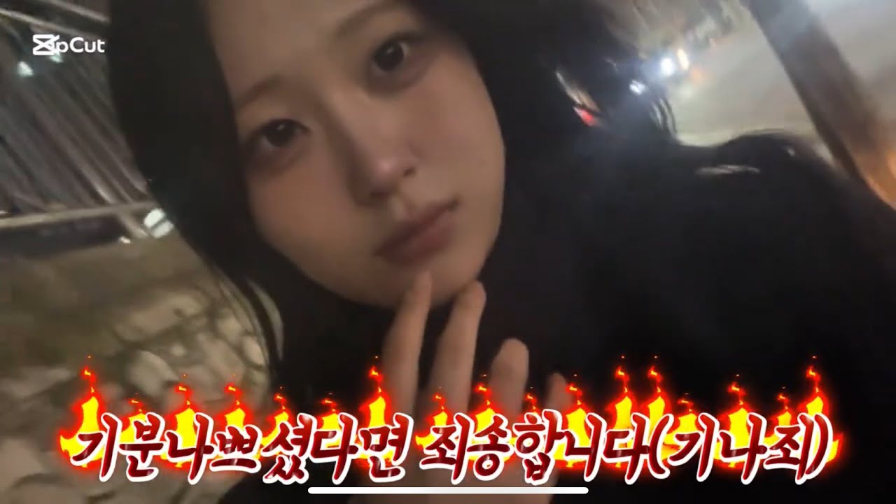 개학 전 마지막 영상 | 두번째영상 | 고3 맞습니다 | #겟레디윗미 #브이로그 #고3 #하교 #고등학생 #고등학교 #꿀팁 