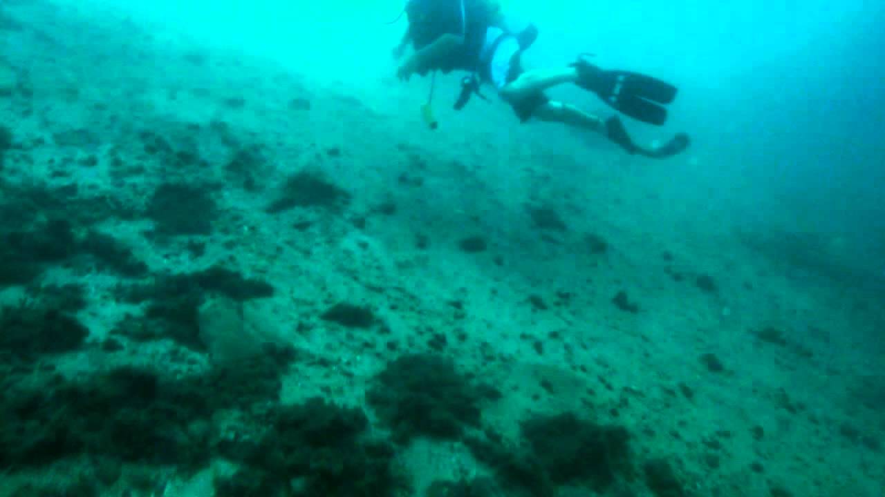 Diver with skills that split fins were created for...If you swim like this, GET HELP!