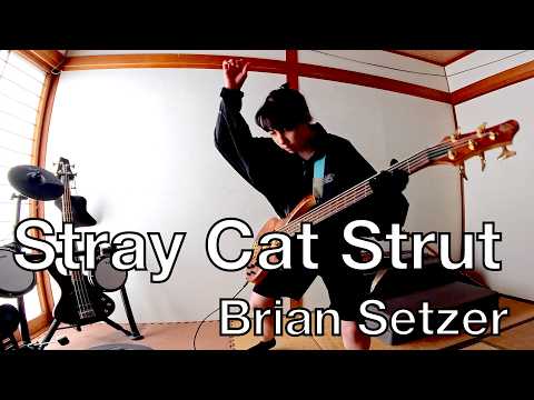 Brian Setzer - Stray Cat Strut - bass #cover #ブライアンセッツァー