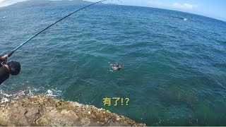 軟絲出現? 東北角小香蘭釣況分享20190802 [嘟嘟釣魚狂#34]