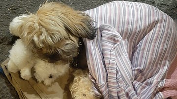 THE EVIL within 2 nightmare mode chap 4 contd no commentary