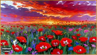3 Hours Relaxing Piano Music 🌅 Poppy Sunset Frame Art | TV Ambient Wallpaper for Sleep screenshot 5