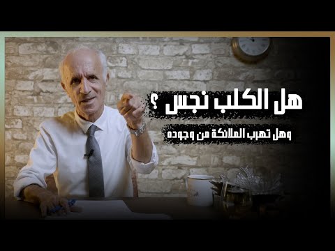 فيديو: الكلبة: أمثلة عن المعنى والاستخدام