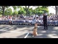 Exhibicion de los Caninos del SPI en la Salle de Panama