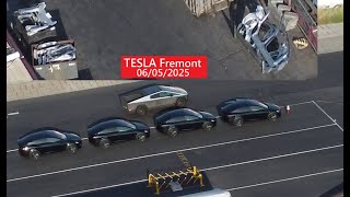 Tesla Fremont 06/05/2025