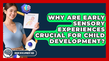 Why Are Early Sensory Experiences Crucial For Child Development? - Brain Development Hub
