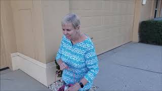 Easter Egg Hunt With Wine Instead of Eggs