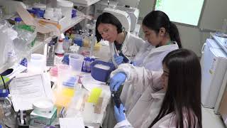 Science Summer Academy
