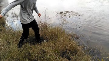 New Zealand mullet fishing