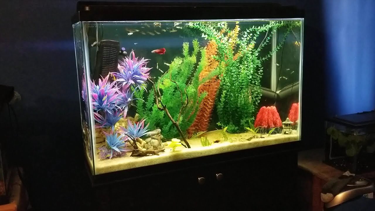 Aqueon 45 gallon Ensemble 1 year review 