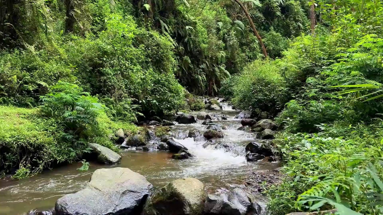 Natural river sound near quiet flowing riverbanks helping calm breathing for deeper deep sleep benef