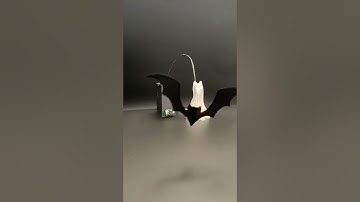 adafruit.com/3dhangouts 459 Motor Bat, POV Display learn.adafruit.com/motion-sensor-bat  #adafruit