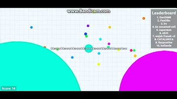 Agar.io | world record | longest name