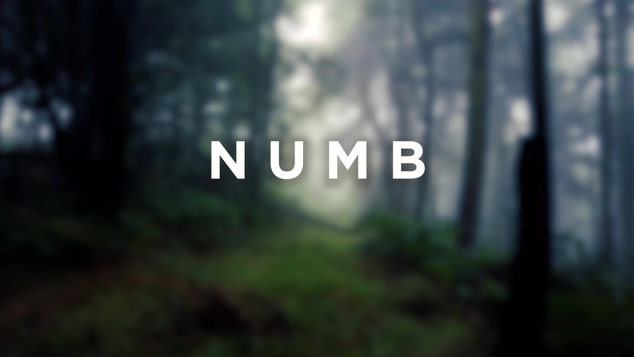 Aaron Richards Essenger Numb Linkin Park Cover Official Lyric Video Youtube