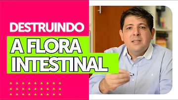 O que fazer para curar a flora intestinal?