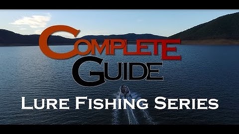 Complete Guide - Golden Perch in Dams - Pt 1 Intro