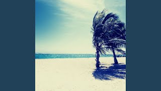 Modish Relaxing Beach Holidays