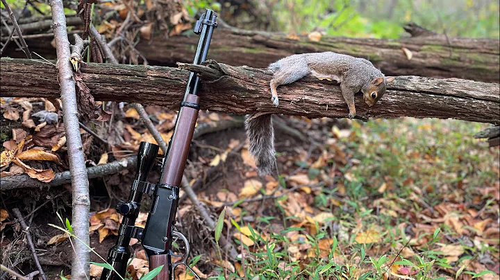 Early Season Squirrel Hunting | Pennsylvania Hardwoods